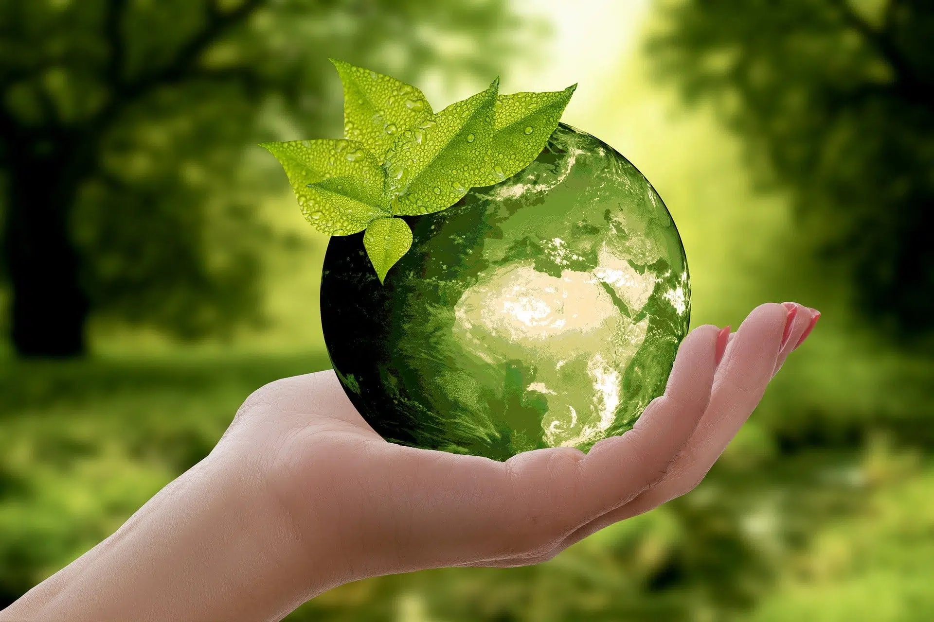 la terre est entre nos mains pour sa survie grâce à des pratiques écoresponsables